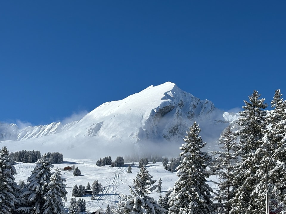 Les Mosses - Vue sur le Gros Van - hiver