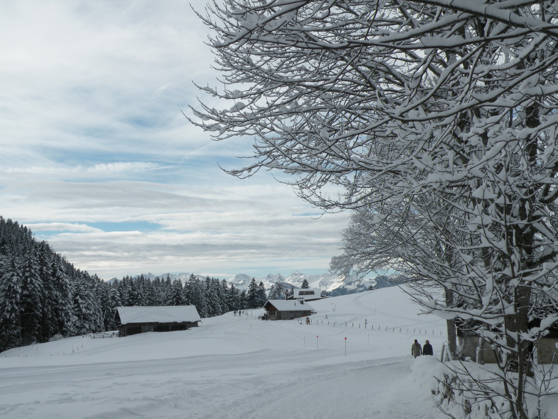 Villars-Gryon