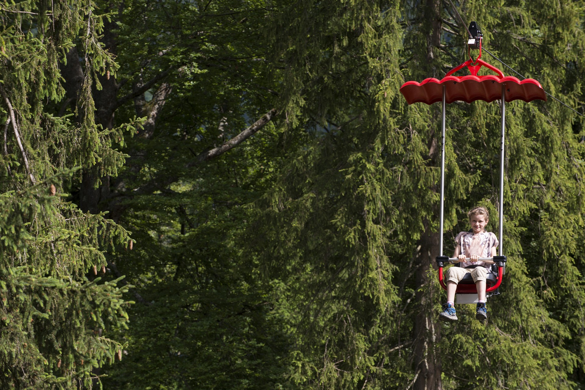 Sky-dive du Gryon Parc