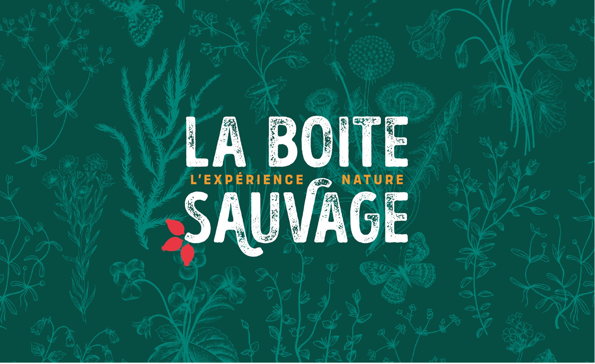La Boîte Sauvage