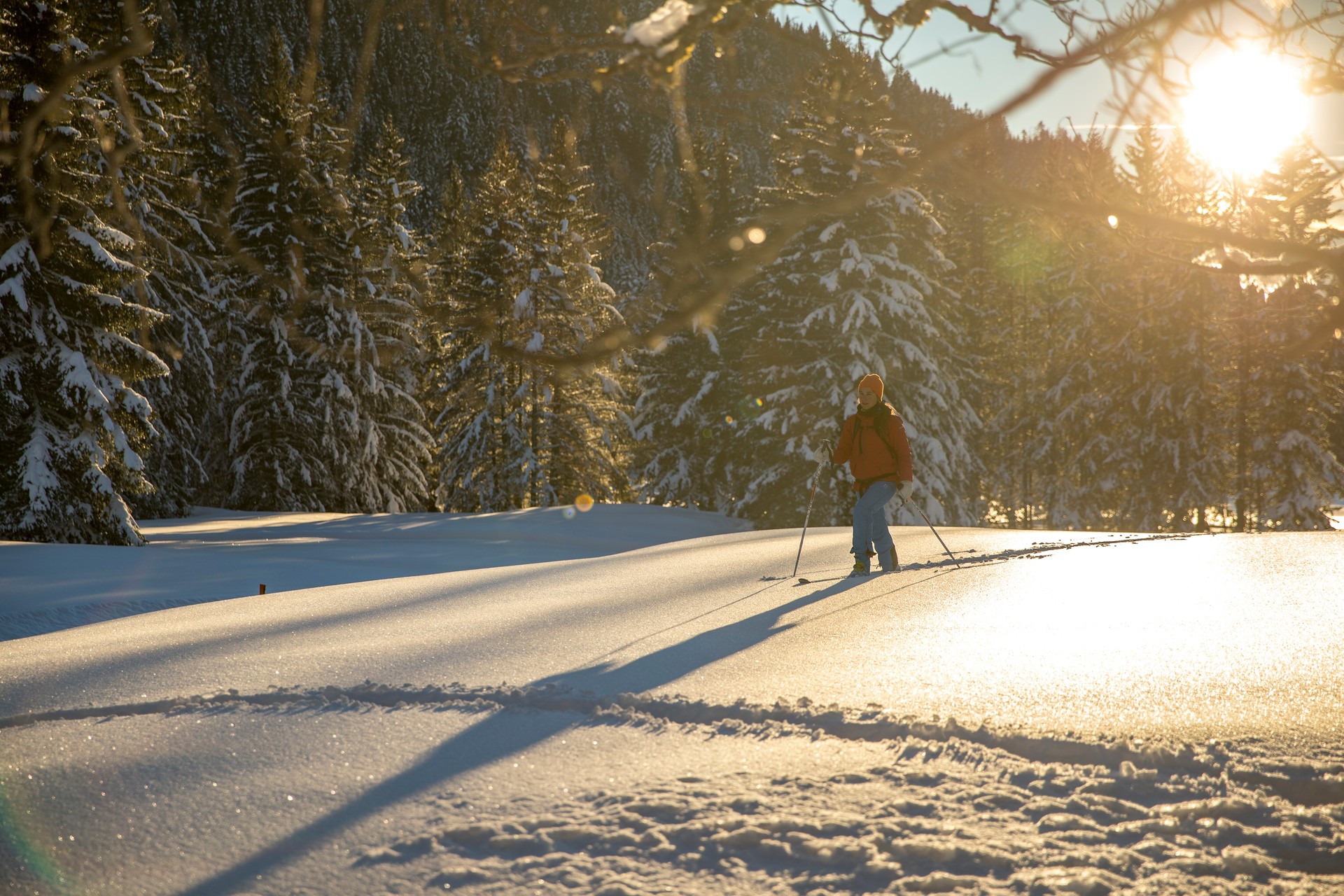 Winteraktivitäten