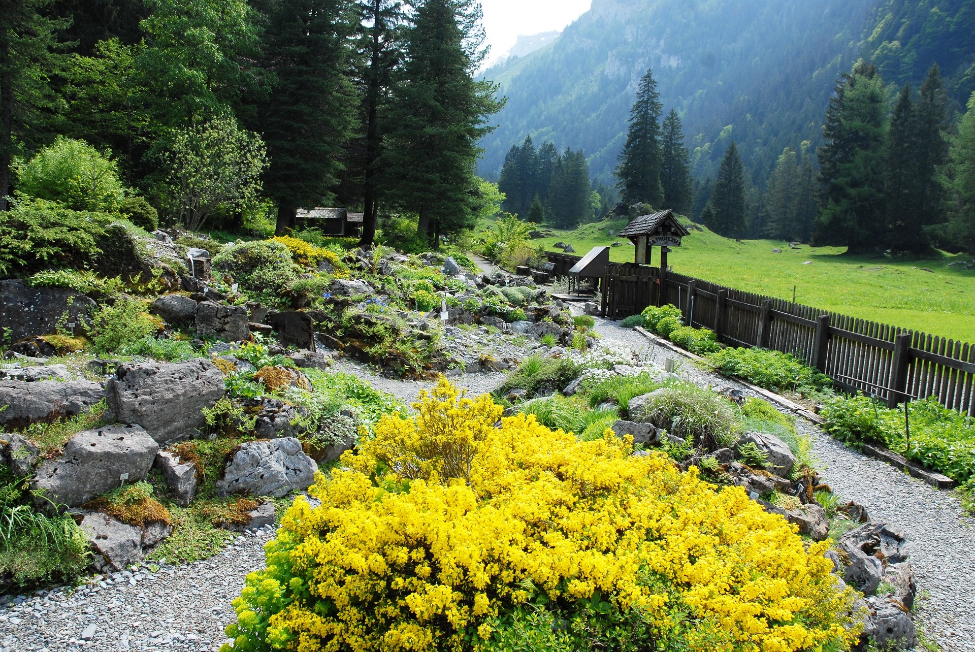 Musée et jardins botaniques cantonaux vaudois