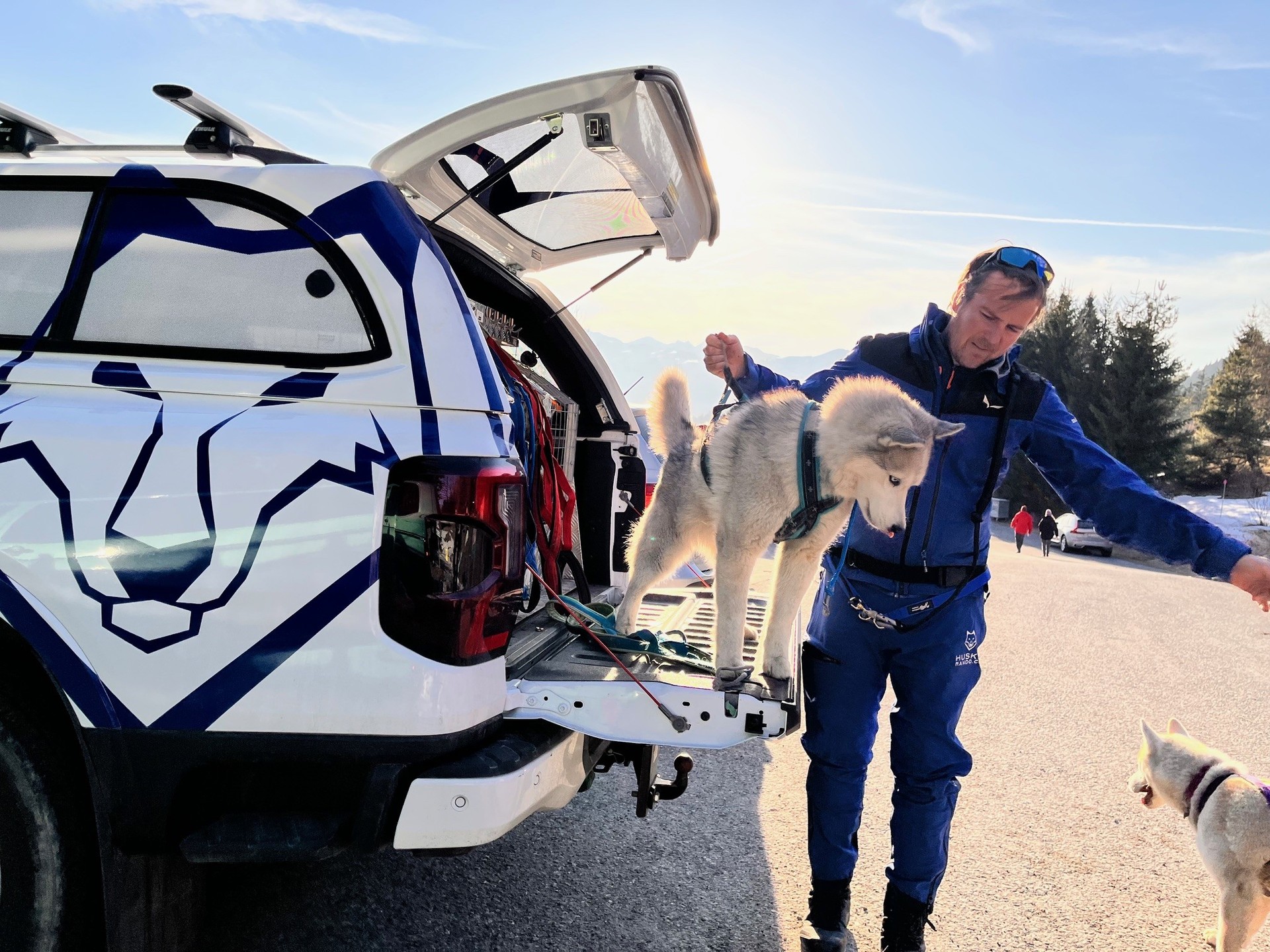 Die Hunde freuen sich, aus ihrem Transportwagen zu springen und ihren Lauf in der freien Natur zu beginnen 