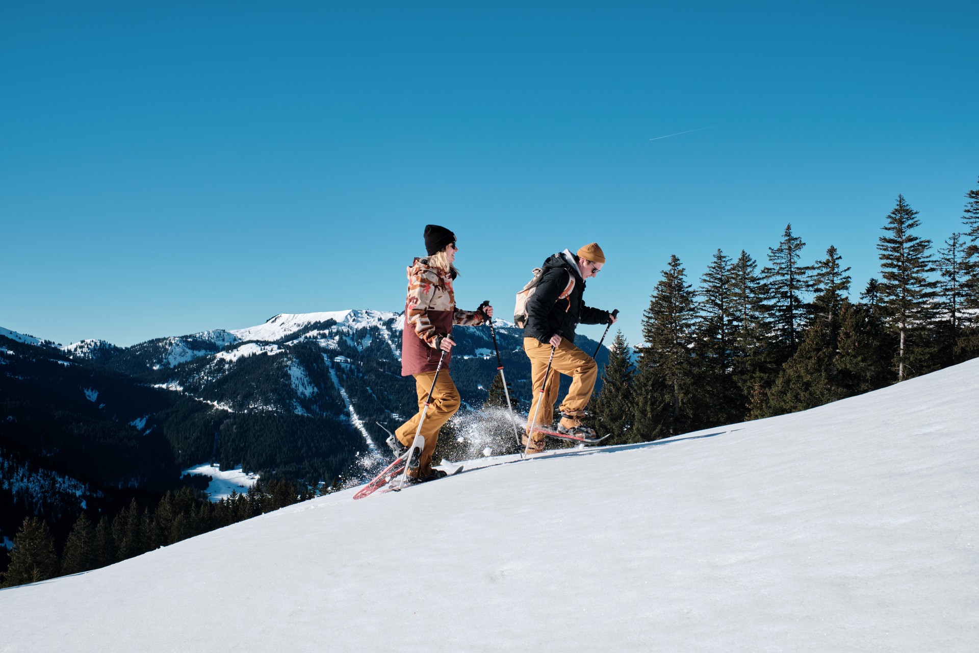 Schneeschuhwandern - Les Diablerets