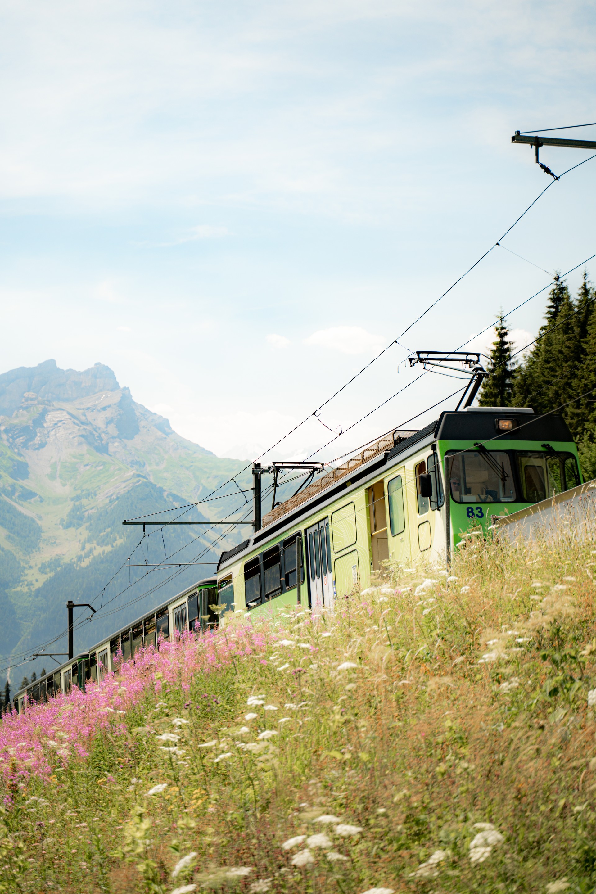 BVB - Bretaye - Train Villars