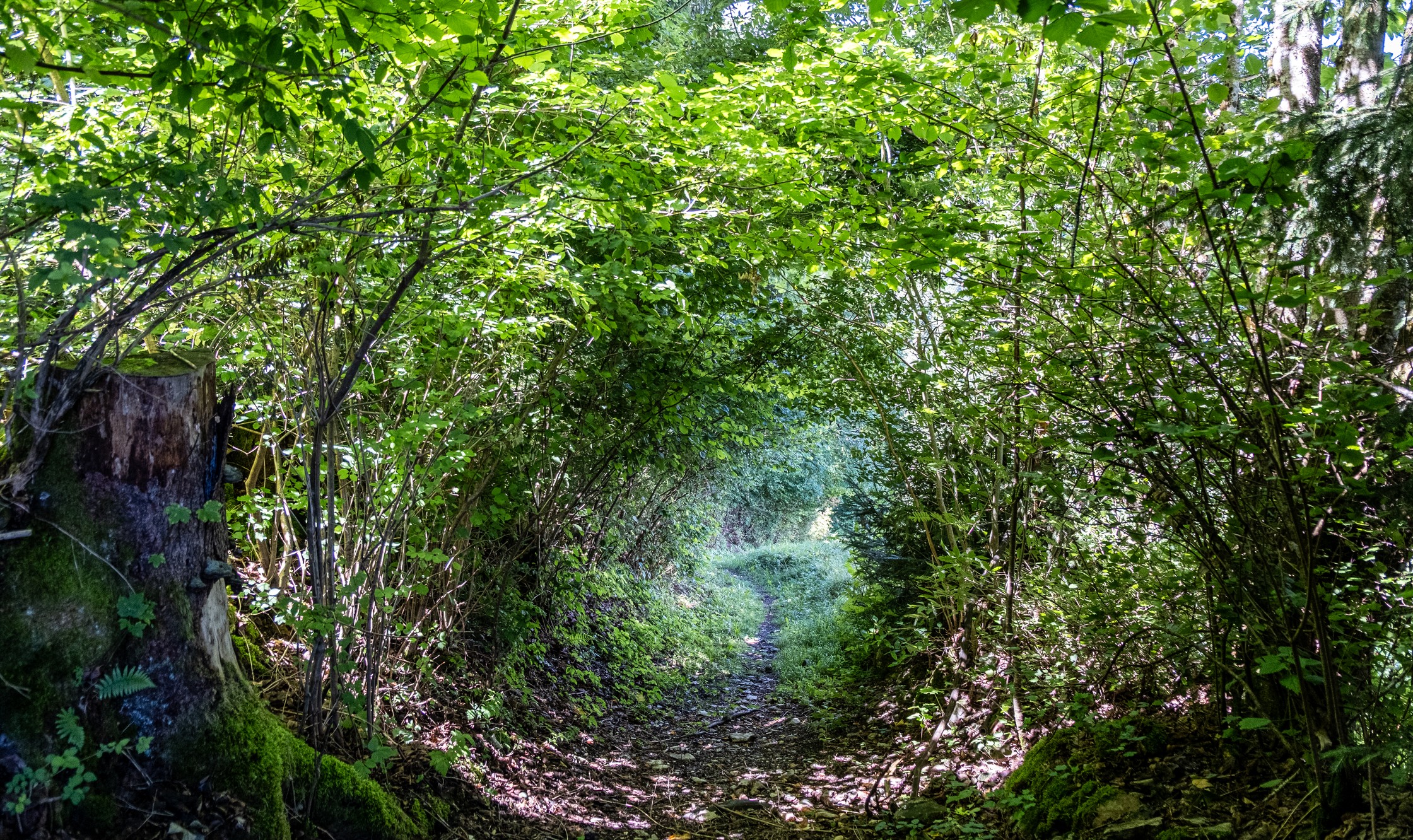 Parc naturel Gruyère Pays-d'Enhaut