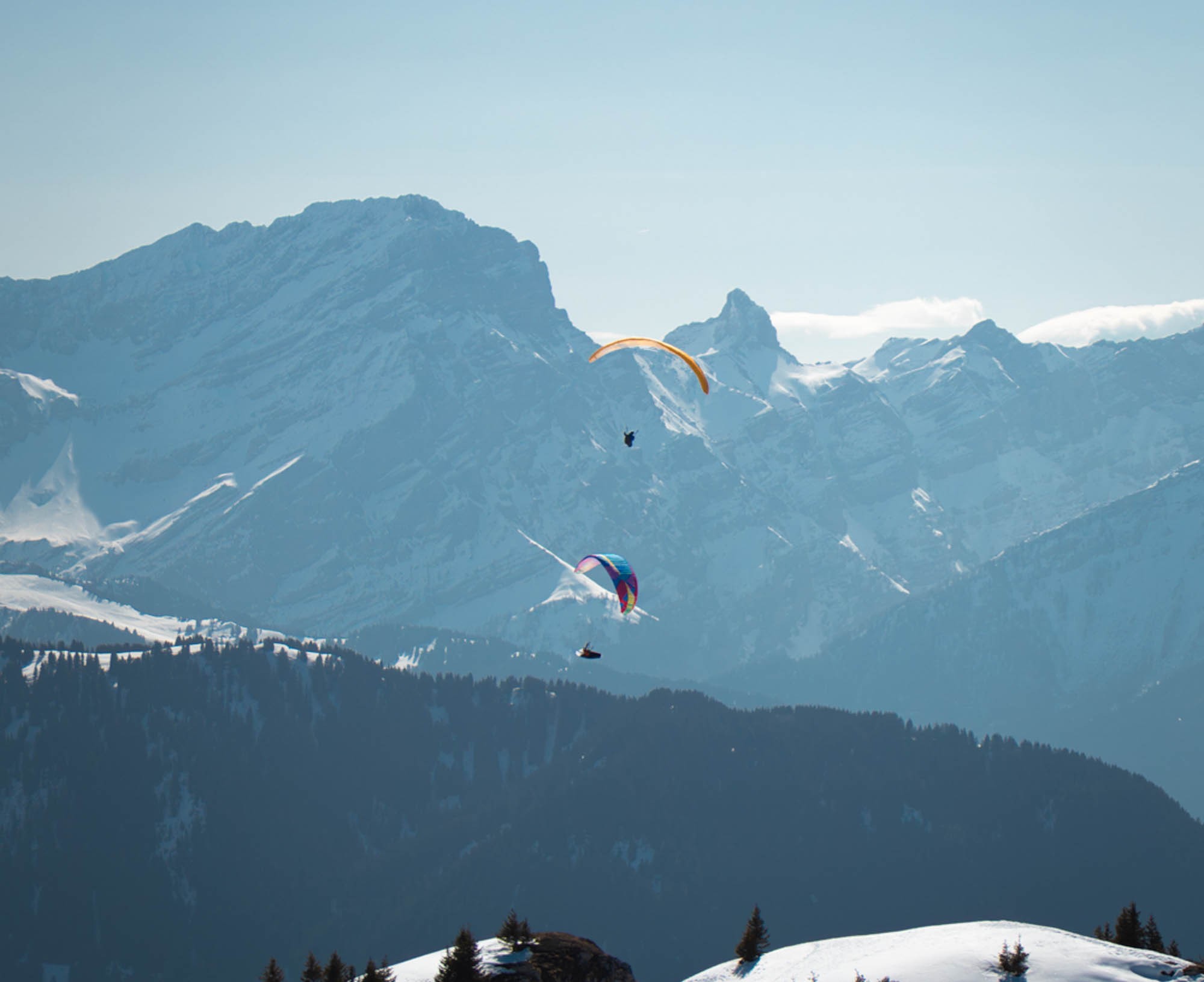 Leysin - Paragliding and view of the Dents-du-Midi
