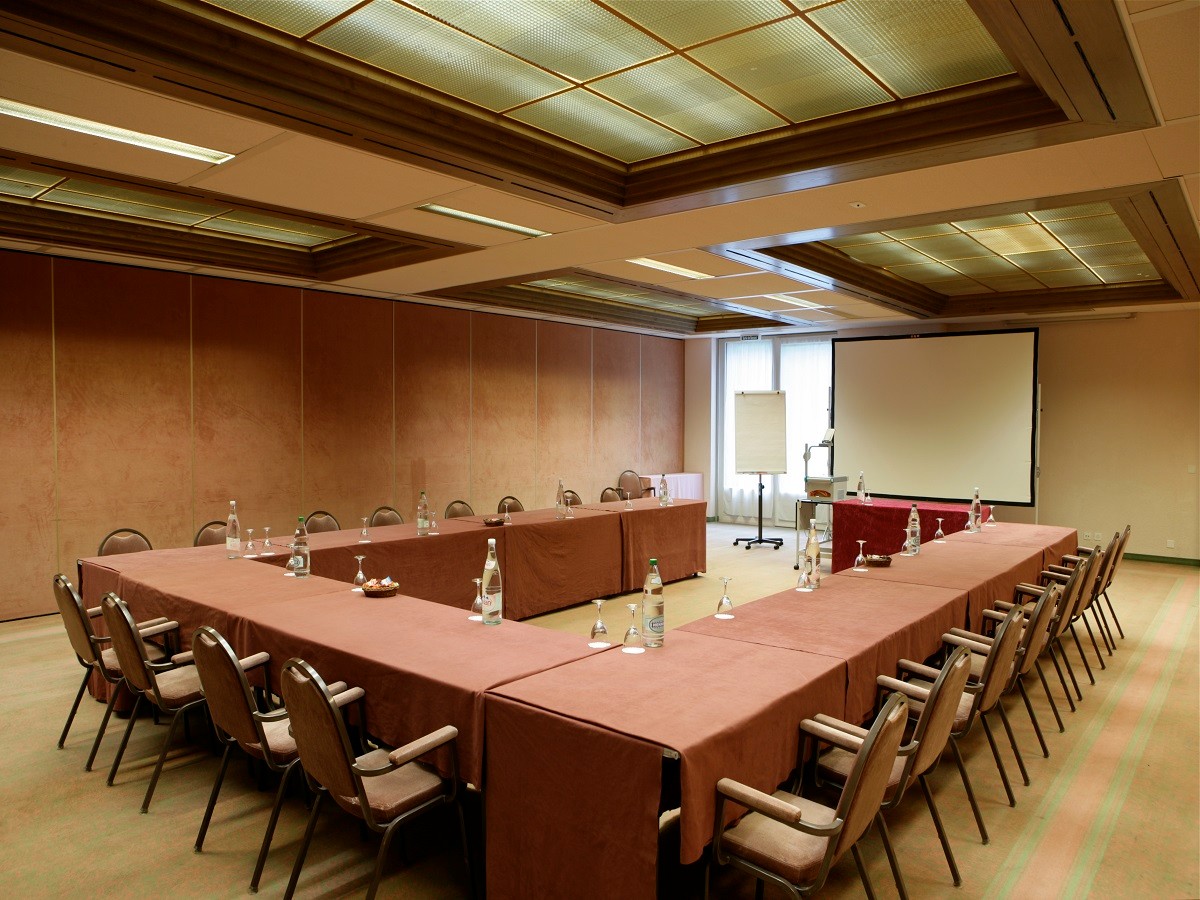 Alpine Classic Hôtel / salle de conférence - Leysin