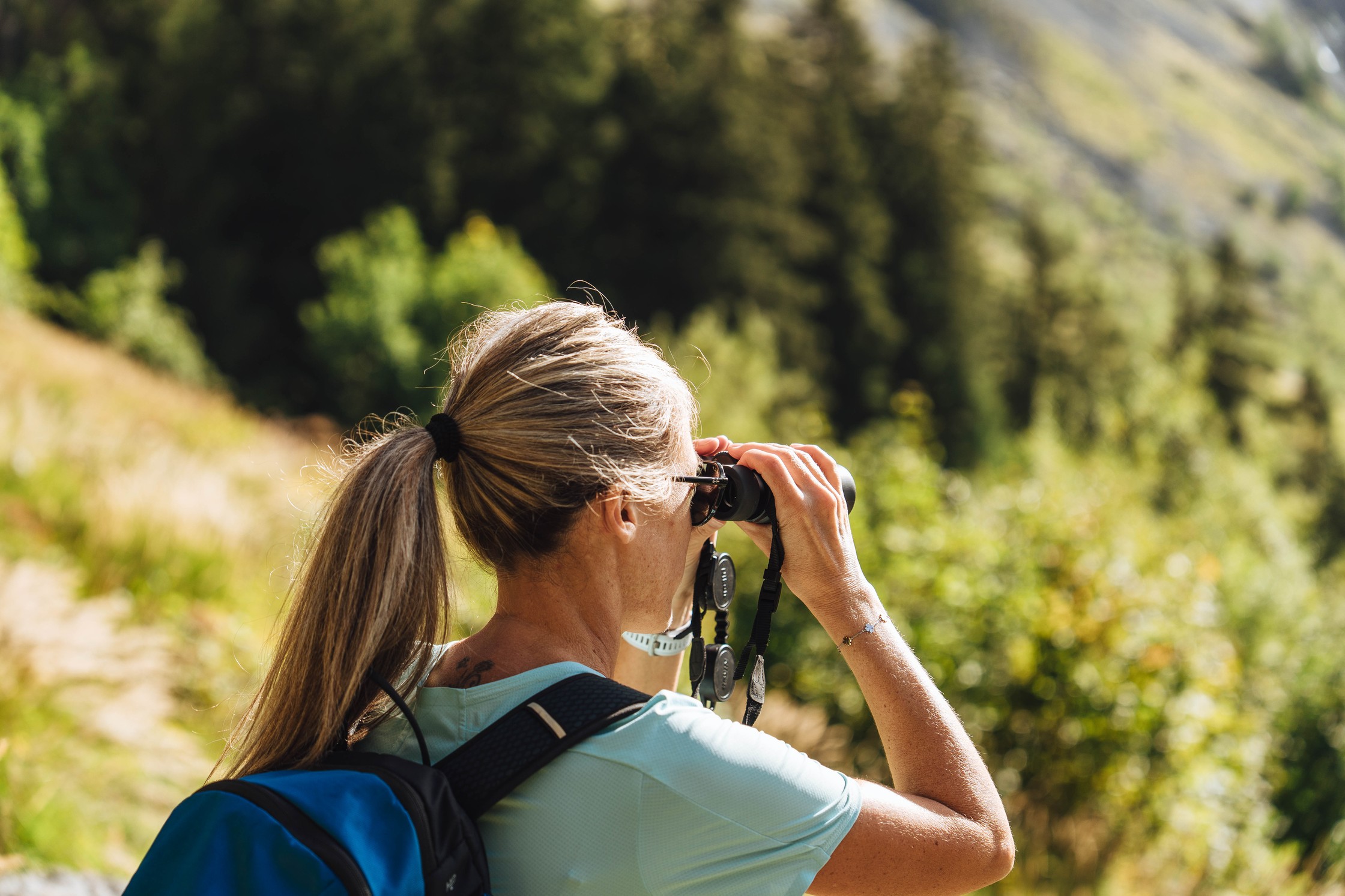Die besten Sommerwanderungen in Bex
