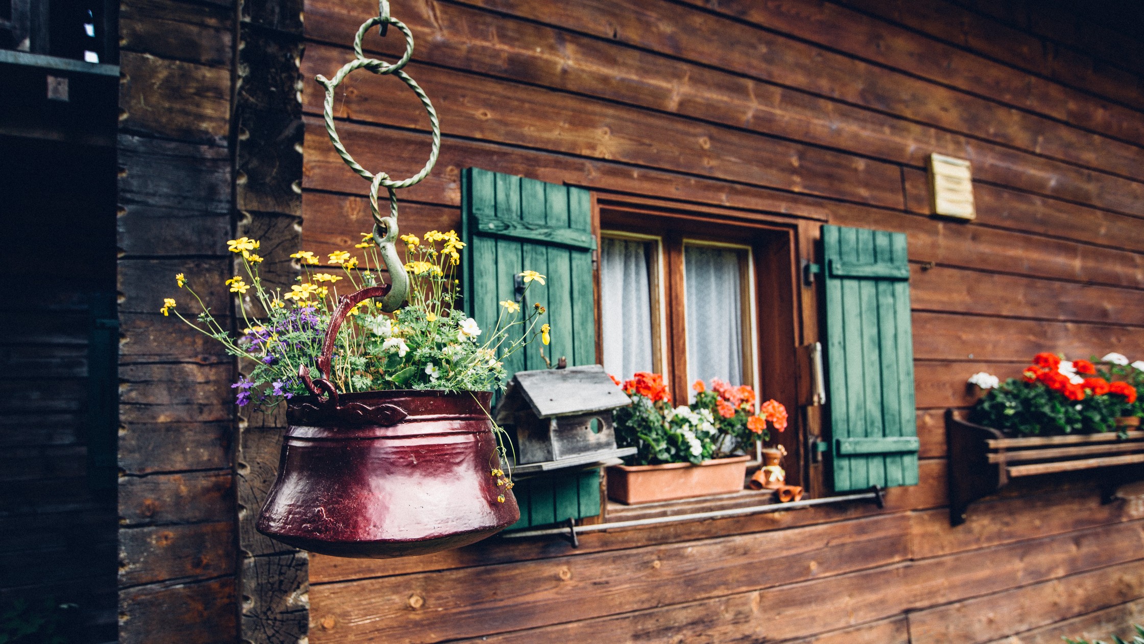 Job offers in Les Diablerets