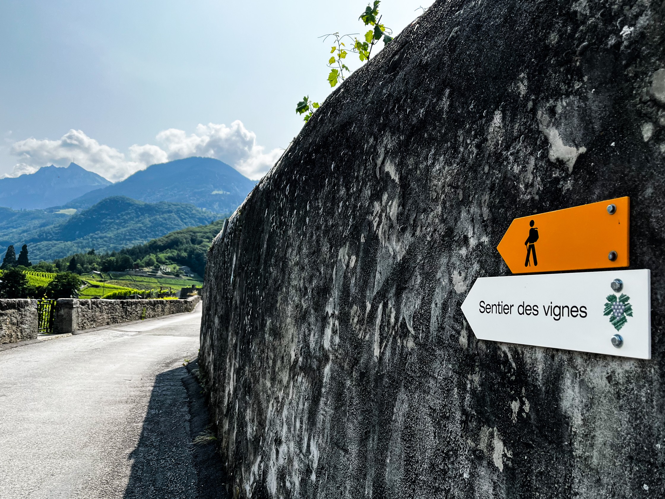 Sentier des vignes