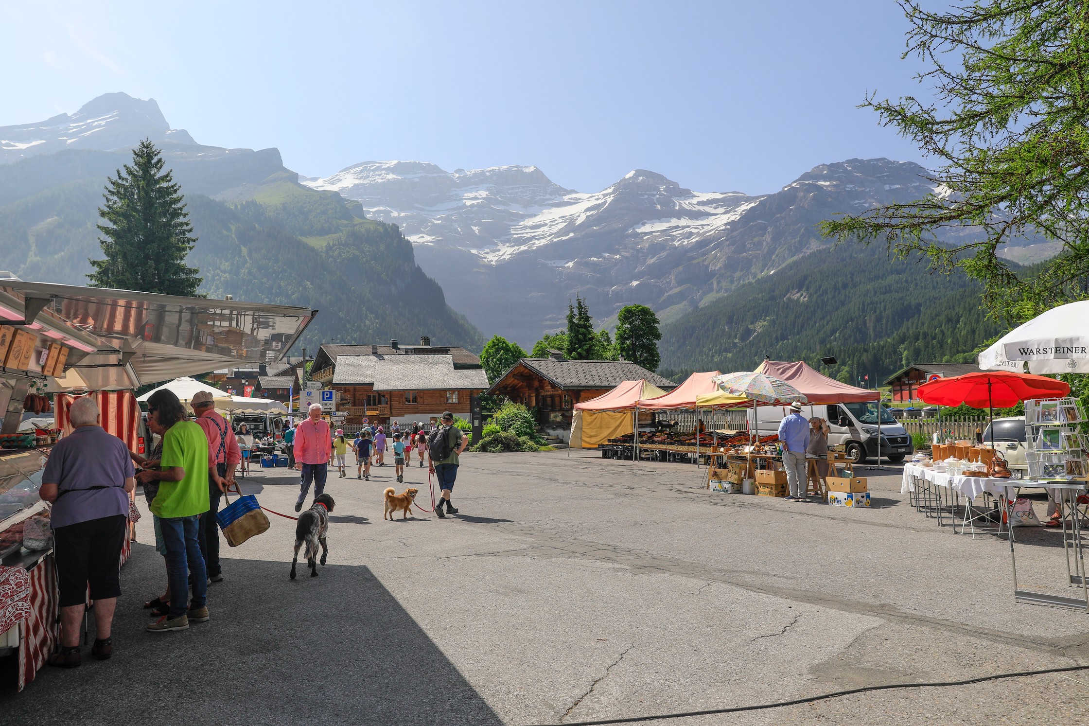 Diablerets market