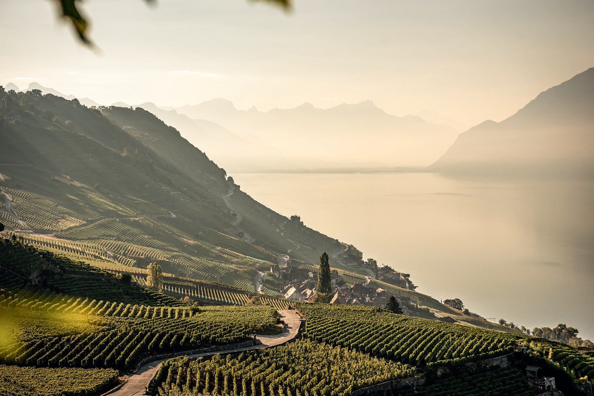Blaise Duboux Lavaux Vue