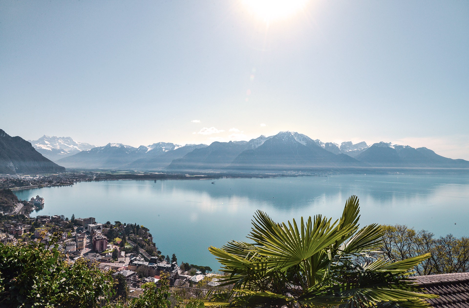 Fullscreen Header Image