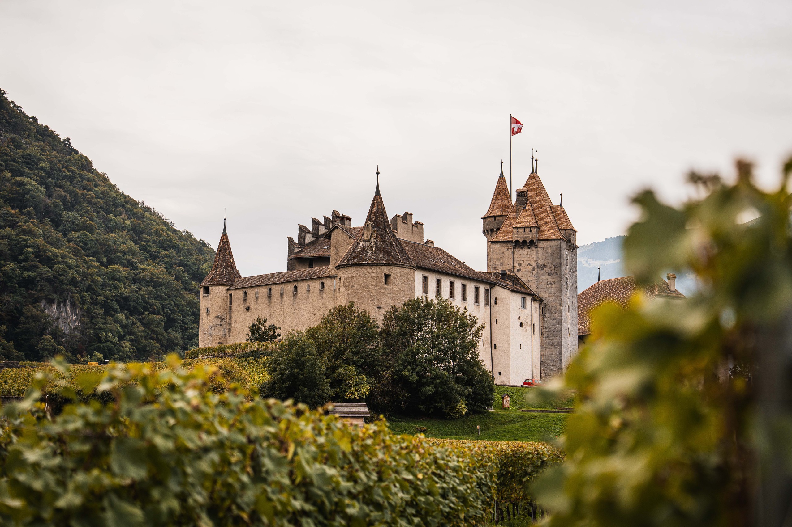 Schloss Aigle