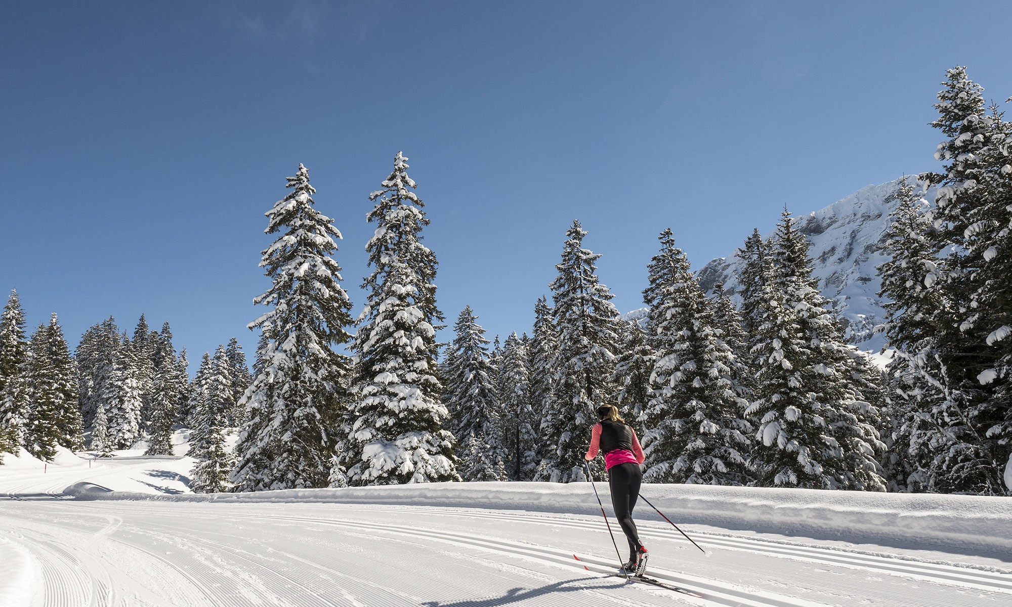 Bookable offers in Les Diablerets
