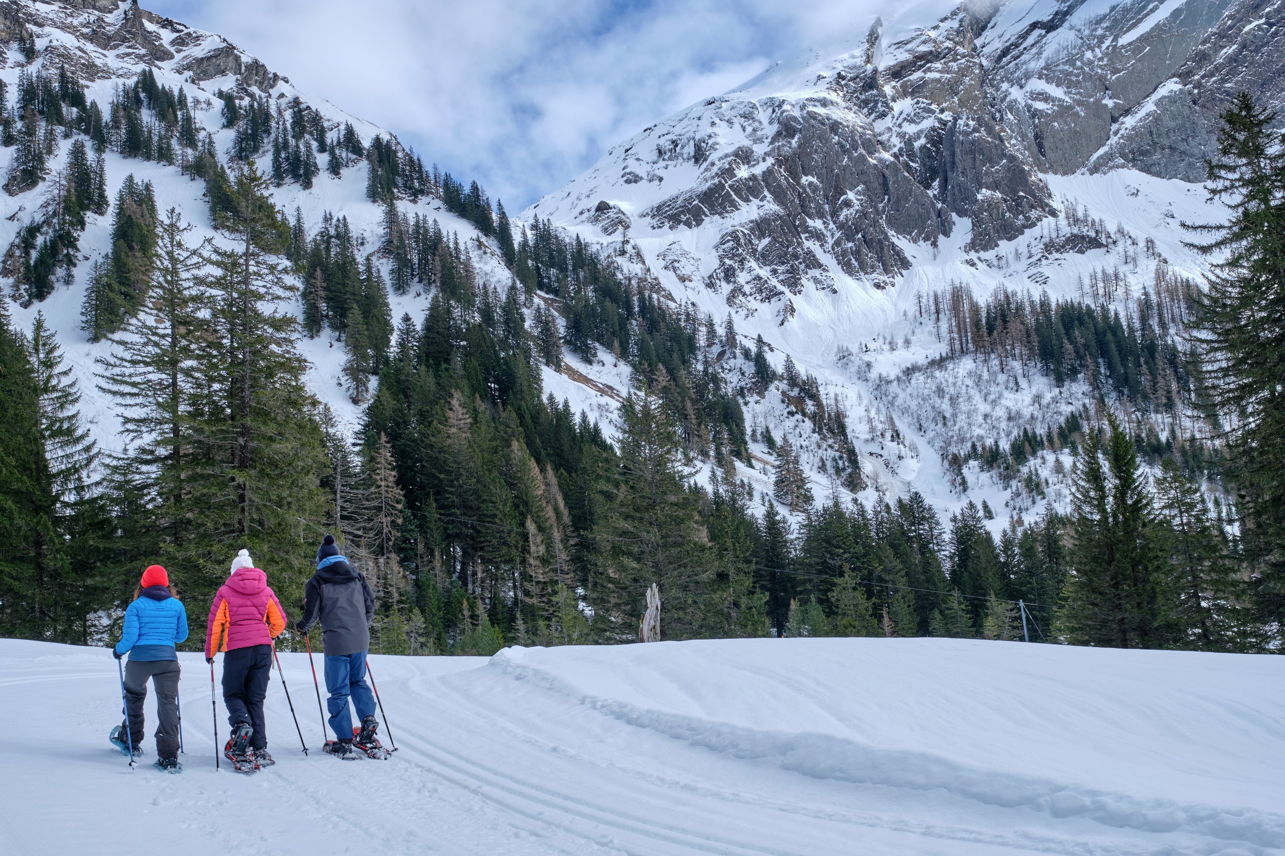 Schneeschuhwanderwege in Bex