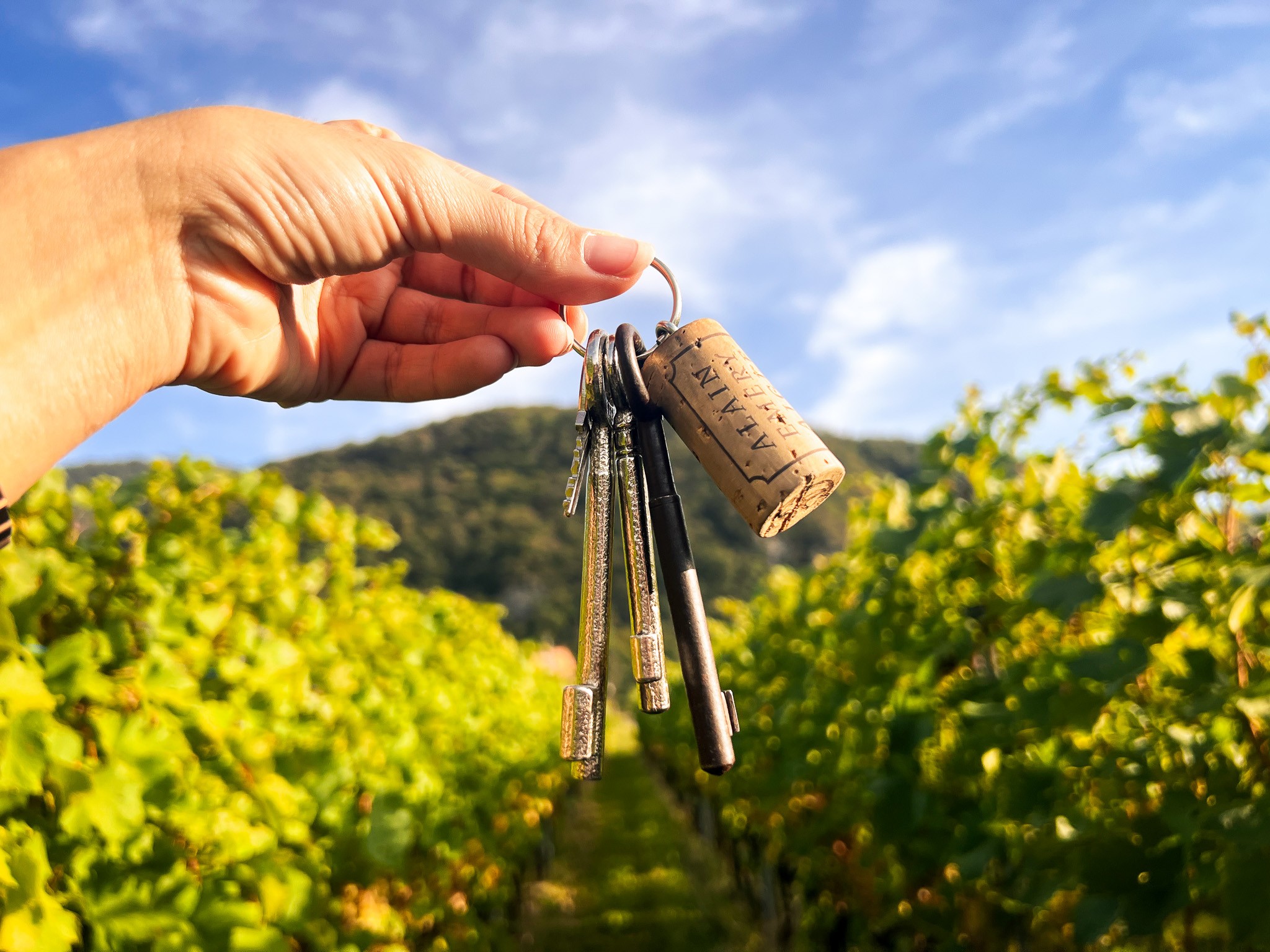 Keys to the Vineyards: The gourmet treasure hunt that unlocks the vineyard gates