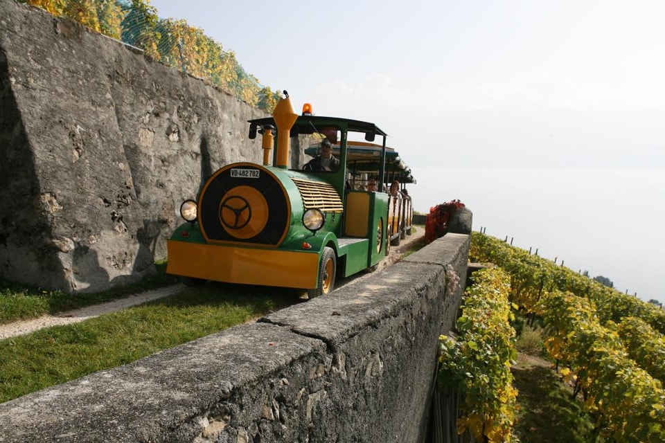 Lavaux Express