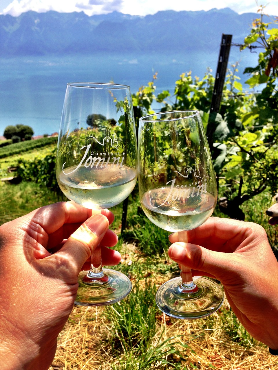 les 2 verres Jomini dans la vigne 1